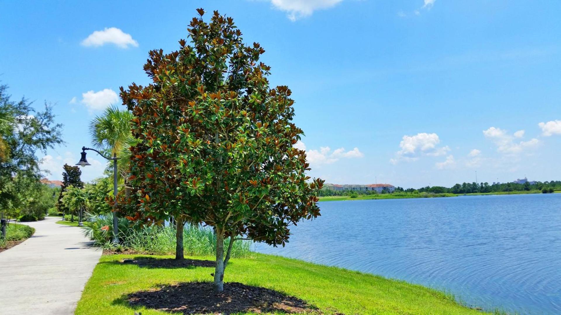 Resort Townhome: Perfect Orlando Vacation Spot Exterior foto